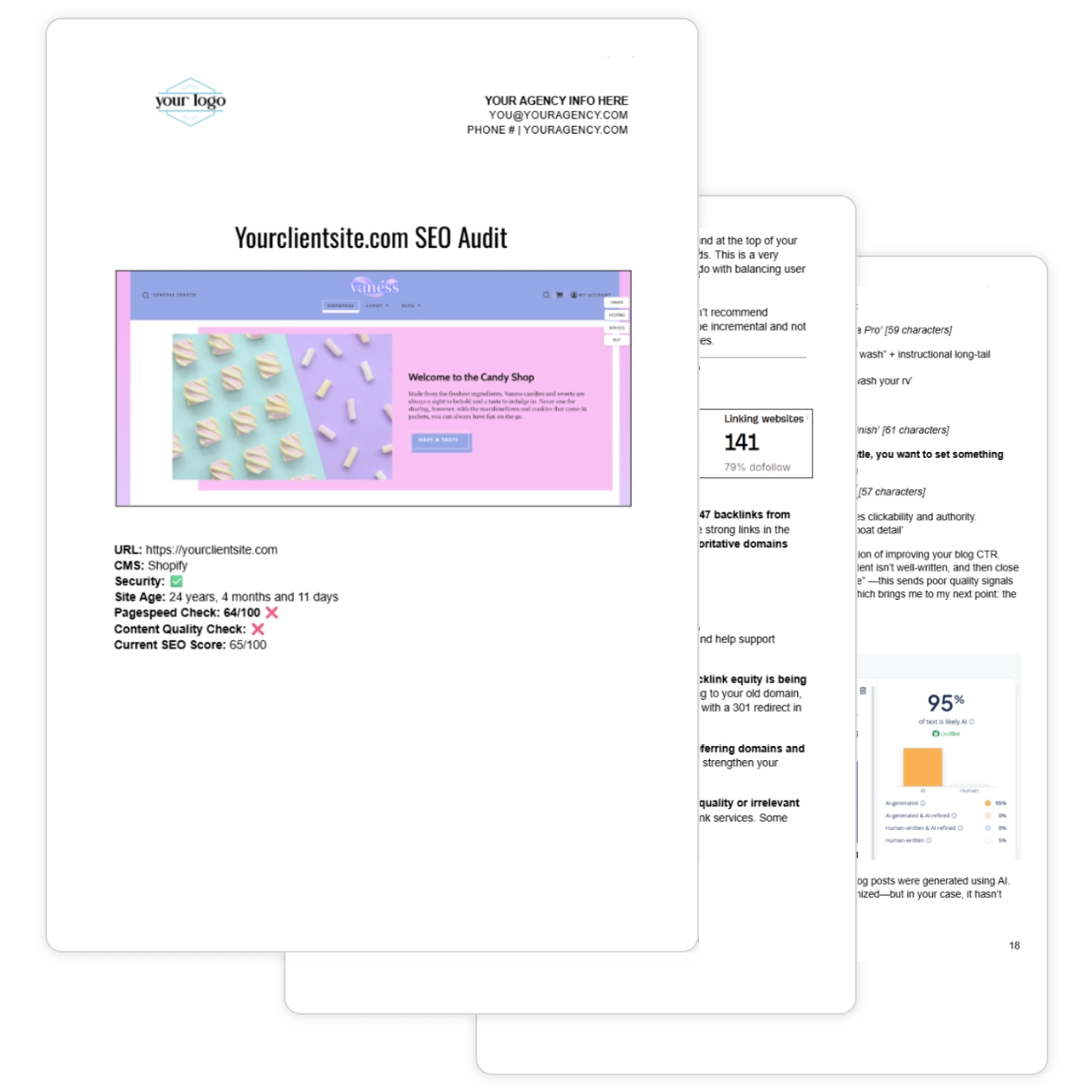 Home 13 White Label SEO Audits